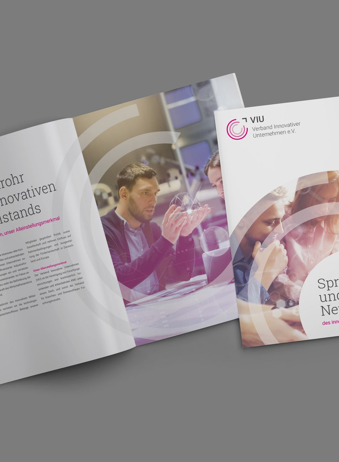 VIU Verband innovativer Unternehmen e.V. – im Fokus der Wissenschaft